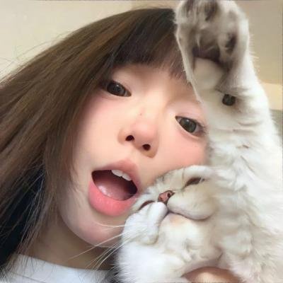领养